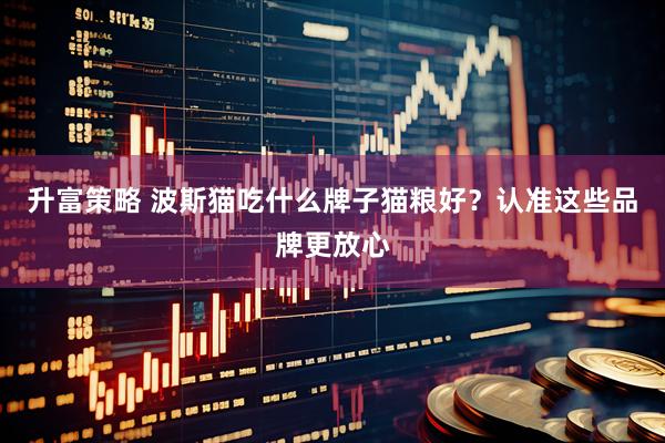 升富策略 波斯猫吃什么牌子猫粮好？认准这些品牌更放心
