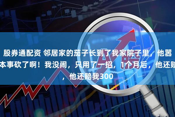 股券通配资 邻居家的茄子长到了我家院子里，他嚣张：有本事砍了啊！我没闹，只用了一招，1个月后，他还赔我300