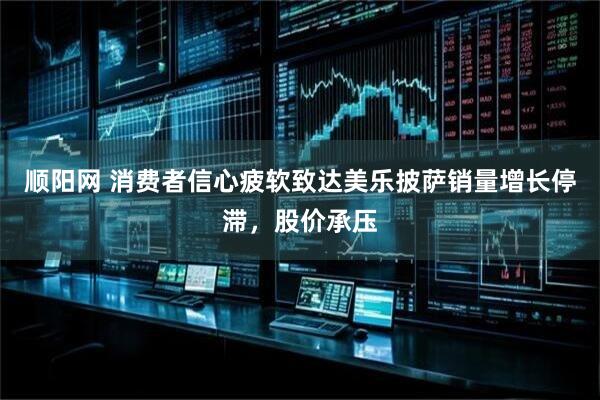 顺阳网 消费者信心疲软致达美乐披萨销量增长停滞，股价承压